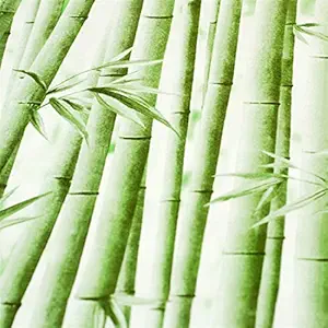 Jaamso Royals Bamboo Design Vinyl Peel and Stick Self Adhesive Home Decor Wall Paper (200 cm X 45 cm)