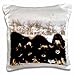 Produktbild Musk Ox Bull, Arctic Wildlife Refuge, Alaska, USA-Us02 Hro0766-Hugh Rose-Pillow Case, 16 by 16"