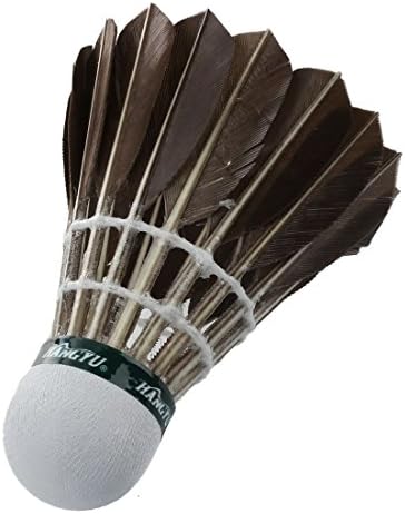 12pcs Training Goose Feather Shuttlecocks Badminton Balls Game Sport
