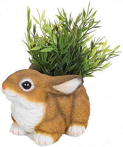 Häschen als Gartendeko Gartenfigur Pflanztopf Schuh Blumentopf Übertopf Hase Tiere Wildlife Deko Figur Frog - 3