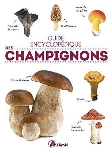 couverture de : Guide encyclop&eacute;dique des champignons