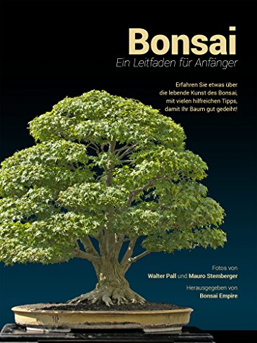Download Bonsai Ein Leitfaden Fur Anfanger Pdf Maurineforrest
