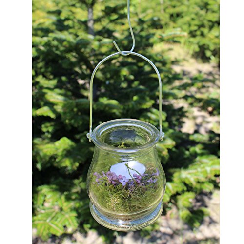 Windlichter, 12 Stück mit Henkel, Laterne Glaslaterne Garten-Deko, Ø 9cm - 4