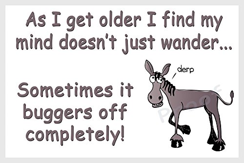 Horse Pony Donkey Funny Fridge Magnet Gift - As I get Older...