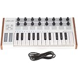 ammoon Wordle Ultra-portátil Mini Profesional USB de 25 Teclas MIDI Drum Pad y Controlador del Teclado (MIDI) (MIDI)