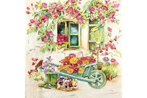 CraftyThings 4 x Paper Napkins - Backyard Garden - Ideal for decoupage/Napkin Art