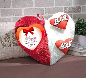 DreamVio Love Heart Shape Valentine Day Gift Fur Cushion,Plush Pillow for Gifting on Birthdays,Anniversaries Color - Red, White (Size- 17x17 inch) Shape 6