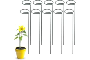 SZMDLX 10PCS Plant Support Stakes, 40 cm 16 inch Garden Single Stem Support Stake Amaryllis Plant Cage Support Rings for Flowers, Tomatoes, Peony, Lily, Rose, Flower Stem (40 * 6cm)