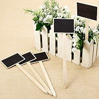 Amazon.es: Marcadores para plantas: Jardín