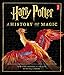 Produktbild Harry Potter: A History of Magic