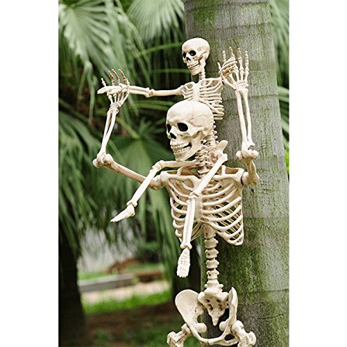 Crazy Bonez Posable Skeleton Decoration, 36