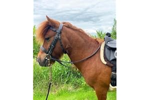 ABERWIEL SADDLERY Hunter Snaffle Bridle with Plaited Browband & Rubber Reins-M&M/Native/Shetland/Pony/Cob/XF Small Pony / Brown