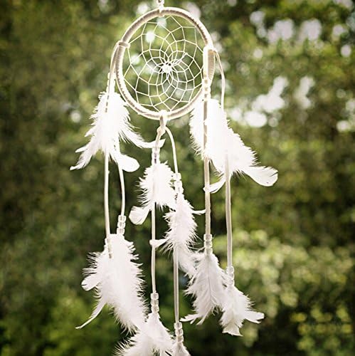 Caomoa Handmade Dream Catcher Circular Net Car Wall Hanging Decoration Craft Ornament Gift (pure white)