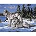 Produktbild rawuin Snow Wolf Digital Malerei Leinwand malen nach Zahlen DIY Kit Home Office Decor Geschenk (# 400)