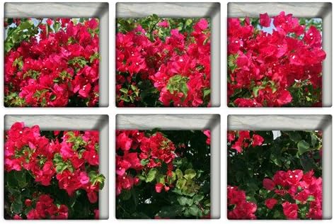 anjaaijd 3D three-dimensional wall stickers stickers affixed to the floor tile bathroom bathroom bathtub wall decoration stickers,1 sets of flowers