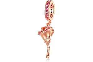 Annmors Charms Heart Abalorios Colgante de Cuentas Plata de Ley S925 Compatible Europeo Pulsera Collar,Charms Festival Cumpleaños Para Mujer Niña