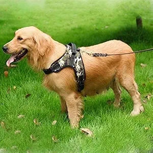 DOGBIT K9 Harness for Large Dogs Adjustable Straps Pet Vest Harness Safety for Dogs (Small)
