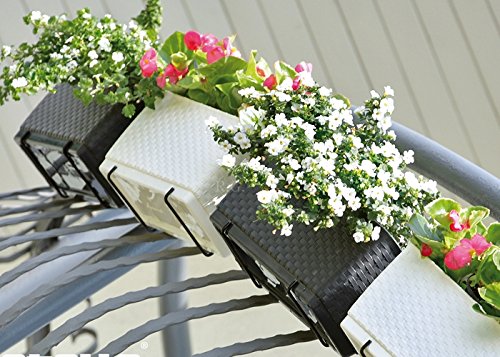 Blumenkasten Balkonkasten Blumentopf Rattan Optik Ratolla mit Halterungen Untersetzer 2 Größen 4 Farben (500 Anthrazit) - 3