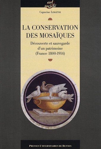 La  conservation des mosaïques : découverte et sauvegarde d'un patrimoine, France, 1800-1914