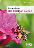 Lernwerkstatt, Die fleißigen Bienen by 