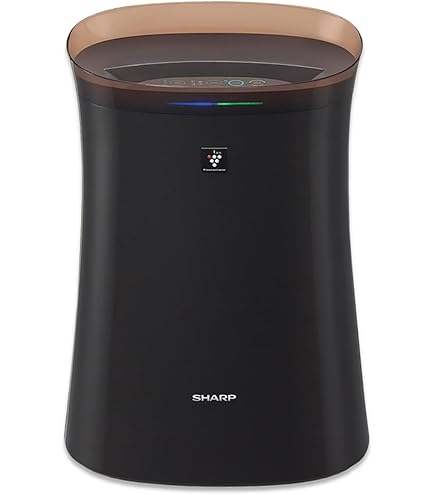 Sharp Plasmacluster Ion Air Purifier portable (IG-EX20