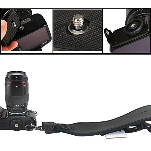 Kaavie - Courroie Sangle d Epaule Quick Release pour Appareil Photo Canon Nikon Pentax Sony Samsung  vis-   plaque unique  est constitu   d un mat  riau en aluminium avec deux oeillets de sangle sur les deux c  t  s pour la fixation d une dragonne et un tour de cou 