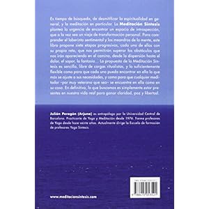 Meditación Síntesis: 7 etapas para una meditación inteligente