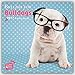 Bullish for Bulldogs - Bulldoggen 2017 - 18-Monatskalender: Original Myrna-Kalender [Mehrsprachig] [Kalender] by 
