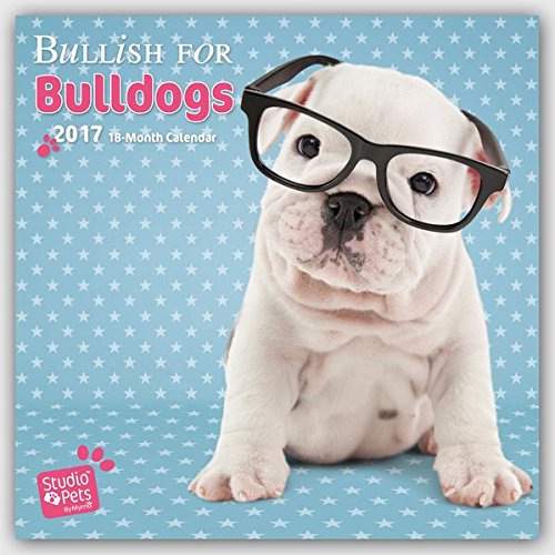 Bullish for Bulldogs - Bulldoggen 2017 - 18-Monatskalender: Original Myrna-Kalender [Mehrsprachig] [Kalender]