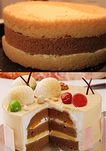 CAOLATOR Edelstahl Einstellbar Kuchen Tortenbodenteiler Tortenschneider Backutensilien – mit Zwei Stahldraht - 7