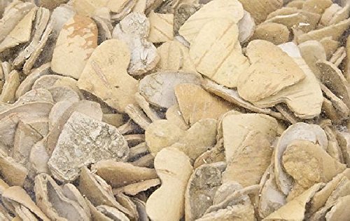 Birkenherz Natur 2,5cm 200 Stück Streudeko