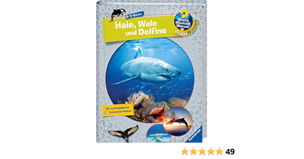 Haie Wale Und Delfine Wieso Weshalb Warum Profiwissen Band 24 Amazon De Kienle Dela Pahlke Tobias Bucher