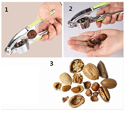 LMTECH Professionelle Knoblauchpresse Crusher Mincer und Nussknacker Edelstahl-Werkzeug - 4