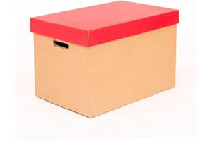 ONLY BOXES, Scatole portaoggetti con coperchio rosso opaco, scatole di cartone con manici, scatole di cartone resistenti, 53,2 x 33,1 x 32,5 cm (lunghezza x larghezza x altezza) in cm, confezione da 2