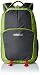 American Tourister Green  and Grey Laptop Backpack (70W (0) 04 008) RS.1435.00