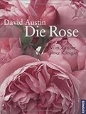 Cover zum Buch Die Rose: Vom Zauber einer Königin
