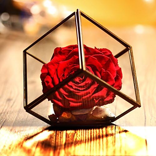 Beauty roses and the beast,Preserved flower roses,Glass cover,Handmade diy Valentine Never wither royals Wedding Anniversary, Birthday-A