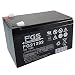 Produktbild Bleiakku FG21202 12,0 Volt 12 Ah mit 6,3mm Steckanschlüssen von FGS