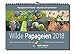 Kalender ,Wilde Papageien' 2018 Din A3 quer: Papageien im Freiland - naturnah und authentisch by 