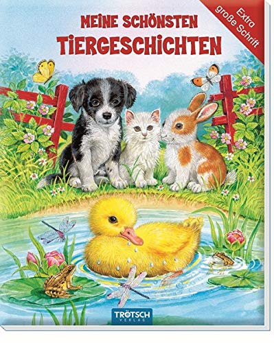 Geschichtenbuch 