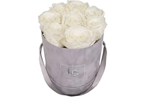 Emmie Gray Classic Infinity ROSENBOX | Velvet Gray | Runde Flowerbox - Infinity Rosen in Grauer Samtbox - 1-3 Jahre Haltbarkeit - Echte Rosen, die jahrelang blühen - Haltbare Rosen (S, Pure White)
