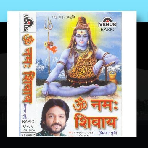 Preisvergleich Produktbild Om Namah Shivay (Shivnaam Dhuni) - Hindi by Roopkumar Rathod