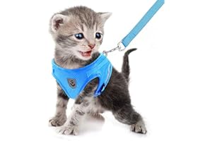 FEimaX Harnais Chat et Laisse, Harnais Chaton Chiot Anti évasion Réglable Réfléchissant Gilet en Maille Respirant Souple pour Petits Chiens et Chats