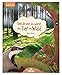 Stell dir vor du wärst ein Tier im Wald | Spannendes Tierbuch für Kinder ab 5 Jahren by Bärbel Oftring