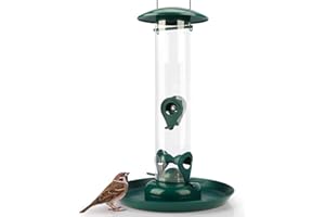 WILDLIFE FRIEND I Comedero de Grano con Plato comedero Comedero Colgante XL con Perchas, estación de alimentación para Alimentar a los pájaros Durante Todo el año, (Verde/M)