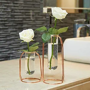 PuTwo Plant Vase Flower Vase Glass Vase Decorative Vases Set of 2 Ideal for Artificial Flowers Botanic - Rose Gold