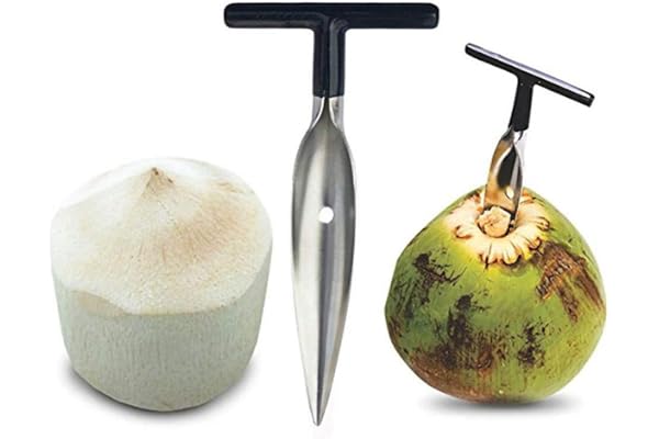 Tumnea Ouvre-Noix de Coco en Acier Inoxydable - Décapant de Viande et Outil de Poinçonnage