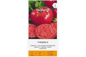 ŽALIA STOTELĖ Zalia stotele | TOMATES TYKING H Semillas | Semillas de hortalizas | Semillas de plantas | Semillas Tomate | Semillas de jardín | 1 paquete