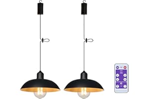 YIKEGE LICHT 2 Industrial Pendant Lamp with Battery Remote Control Battery Hanging Light Ceiling Lamp without Electricity Battery Operated Lanterns for Gazebo Garden Balcony Christmas Decoration Gift