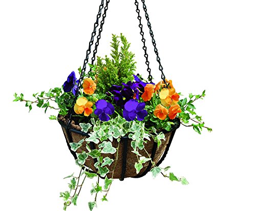 Gardman Schmiedeeiserne Blumenampel, 40 cm - 3